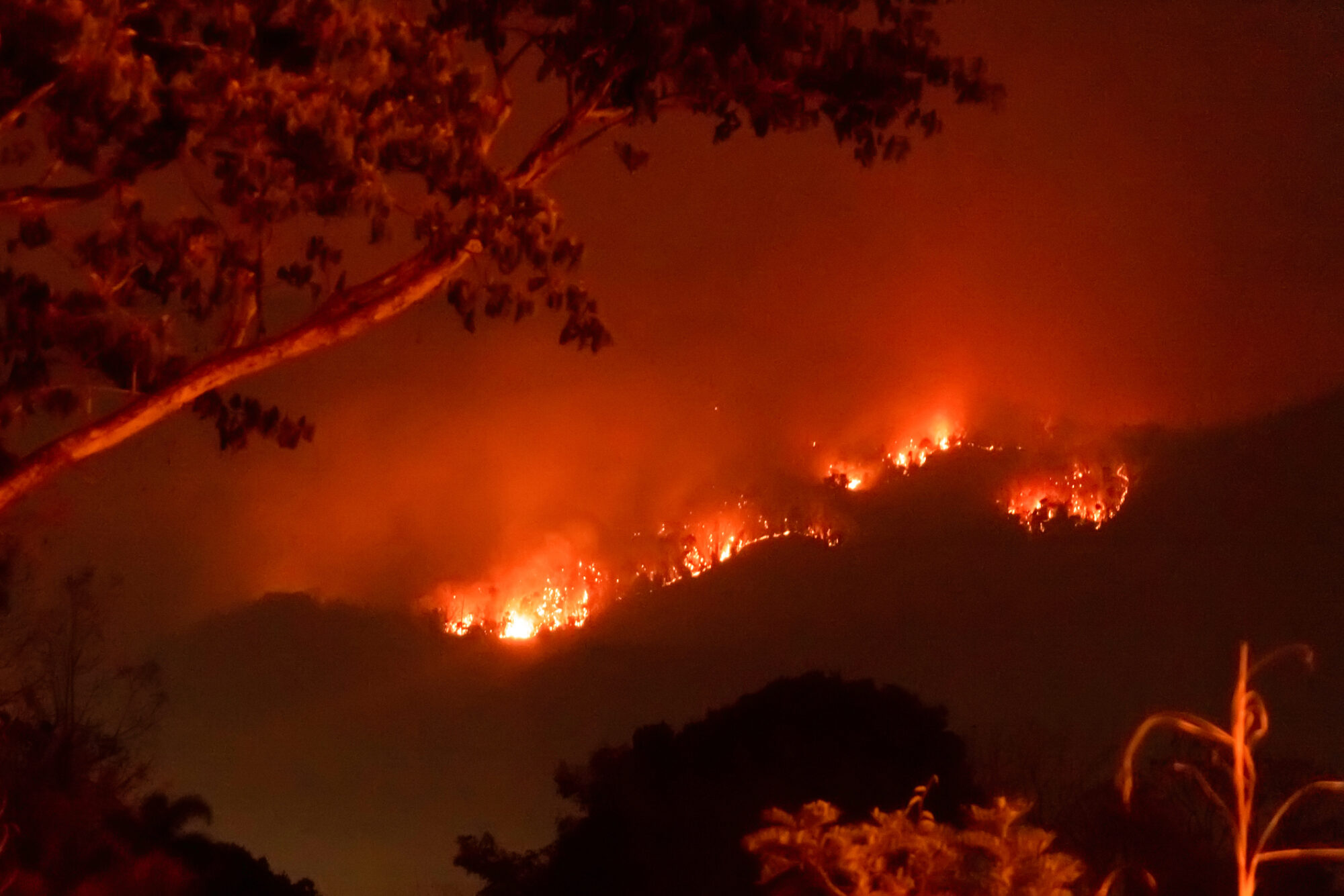 Incendio Na Natureza 2000x1335